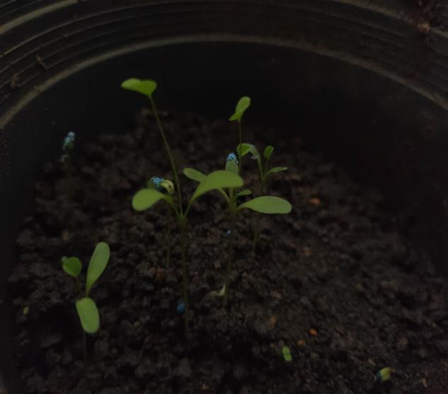 785d4d2c15ee4b1aa191961f69a65ebe.jpg 785d4d2c15ee4b1aa191961f69a65ebe.jpg