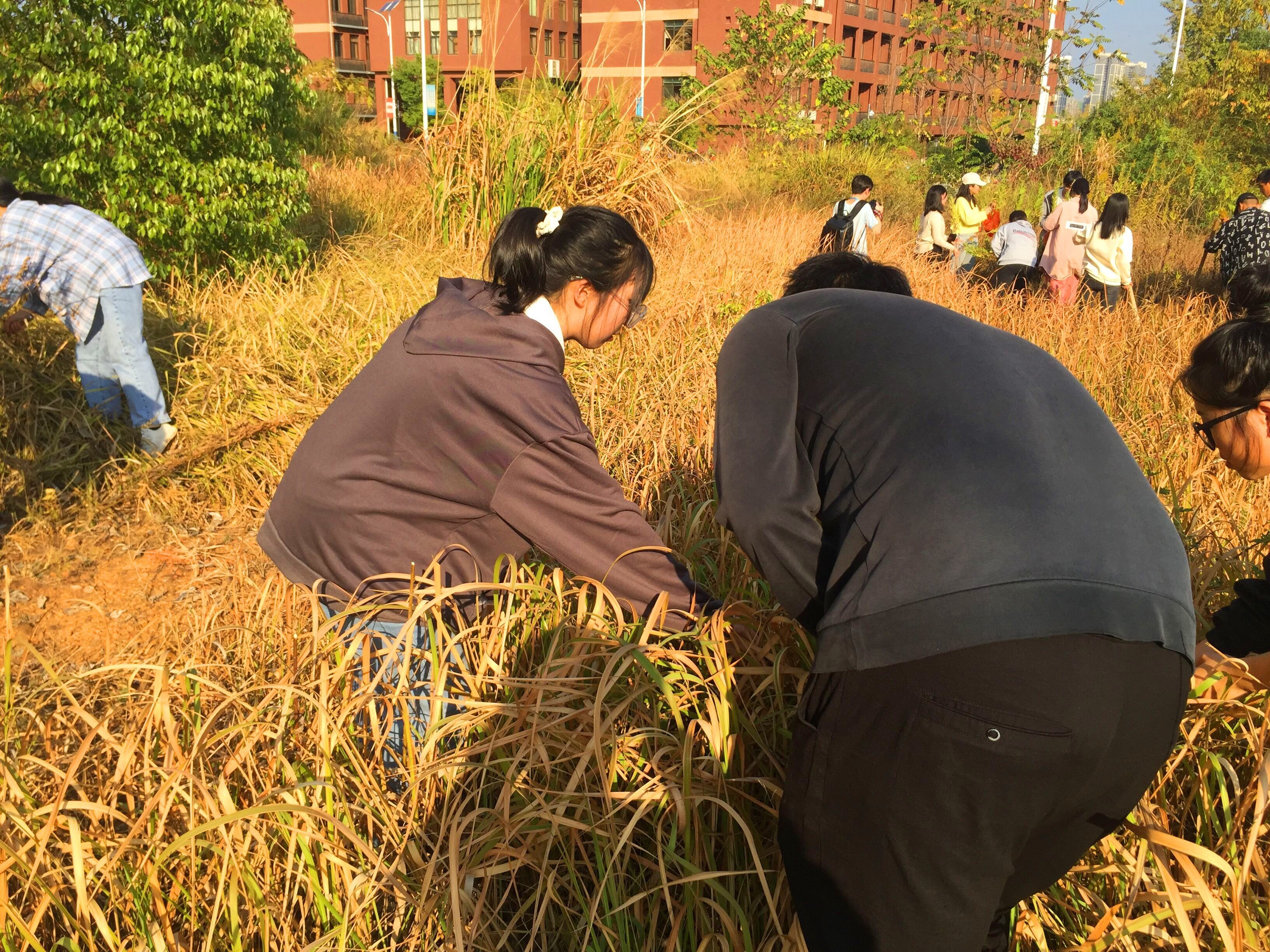 559594675a524fc6bdf669f84b99fff4.jpg 559594675a524fc6bdf669f84b99fff4.jpg