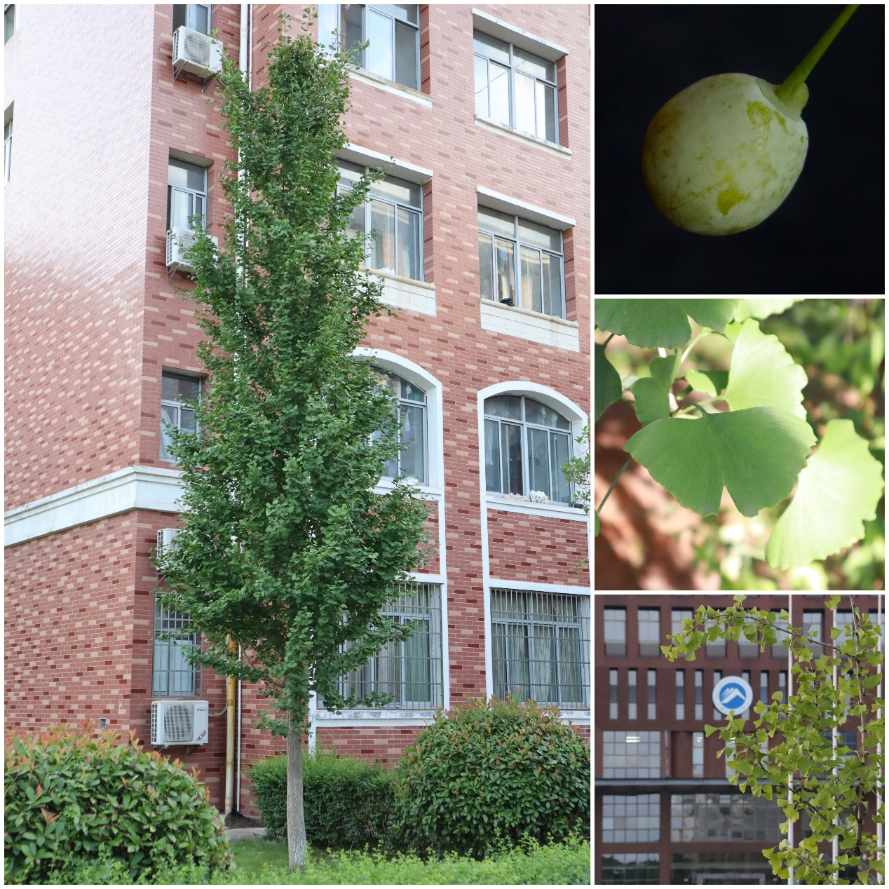 606fa24a07f6484488cbbd9fd3ce6fdb.png 606fa24a07f6484488cbbd9fd3ce6fdb.png