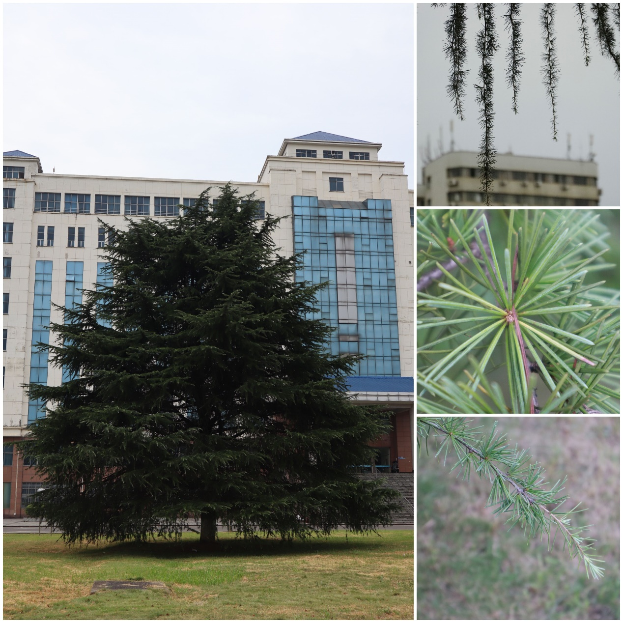 3b4764d80d6c4d438879fcb376b4229b.png 3b4764d80d6c4d438879fcb376b4229b.png